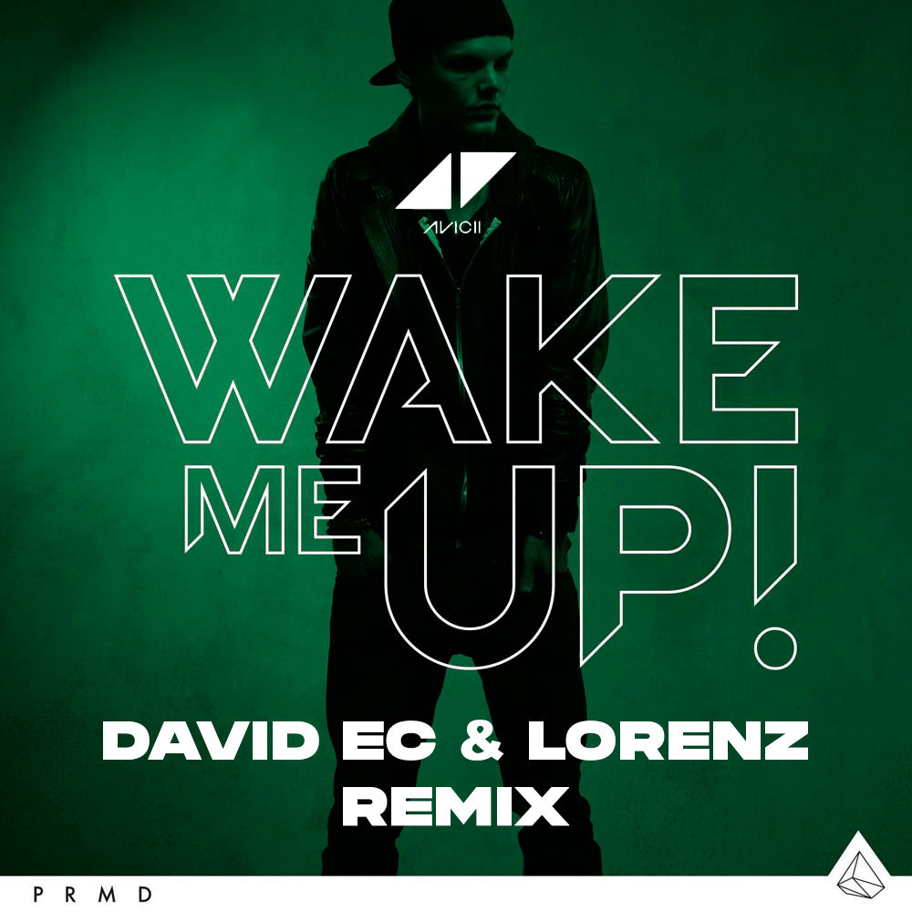 avicii - wake me up (david ec & lorenz remix)